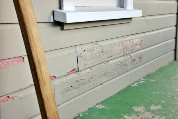 Best Hoarding Cleanup  in Vcennes, IN